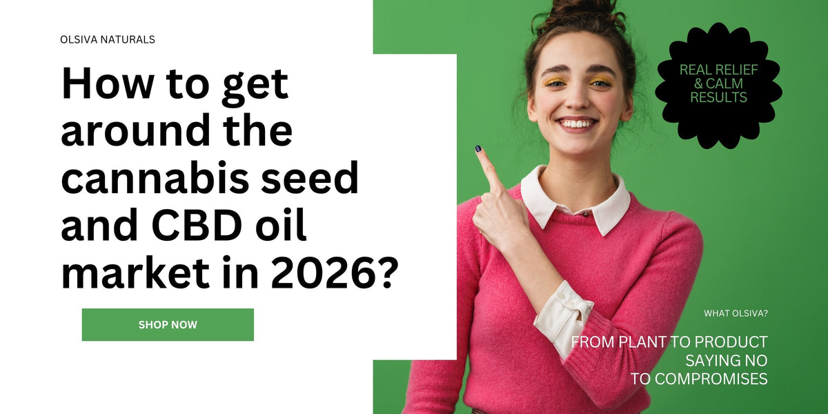 Buy Cannabis Seeds & CBD Oil?