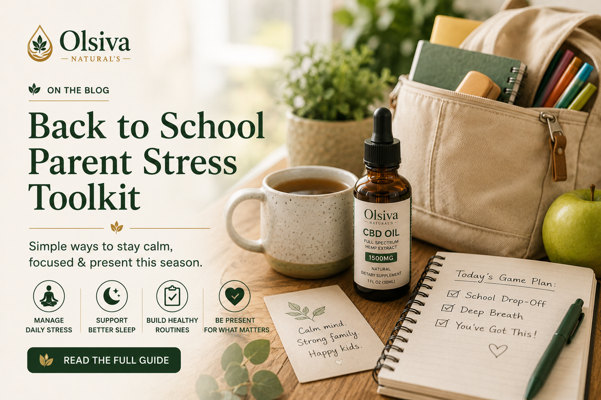 The Back-to-School Reset: A Parent's Stress Toolkit for the Most Overwhelming Month of the Year
