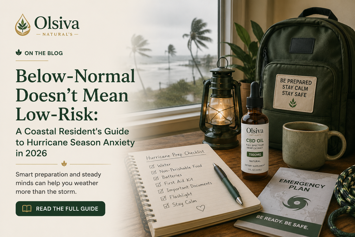 Below-Normal Doesn't Mean Low-Risk: A Coastal Resident's Guide to Hurricane Season Anxiety in 2026