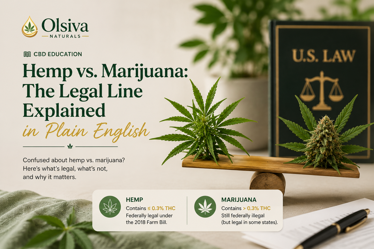 Hemp vs. Marijuana: The Legal Line Explained in Plain English