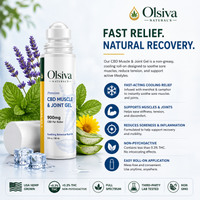 Olsiva Naturals Hemp Wellness Muscle & Joint Gel bottle with product details on a white background