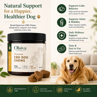 Olsiva Naturals Hemp Wellness dog chews with a smiling dog and product details on a light background.