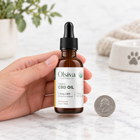 Olsiva Naturals 900mg organic CBD pet tincture, 1 fl oz amber bottle held in a hand next to a US quarter for size reference